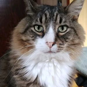 Meet your Posher, Claudia